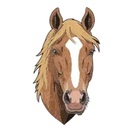 Testa di cavallo baio con criniera chiara